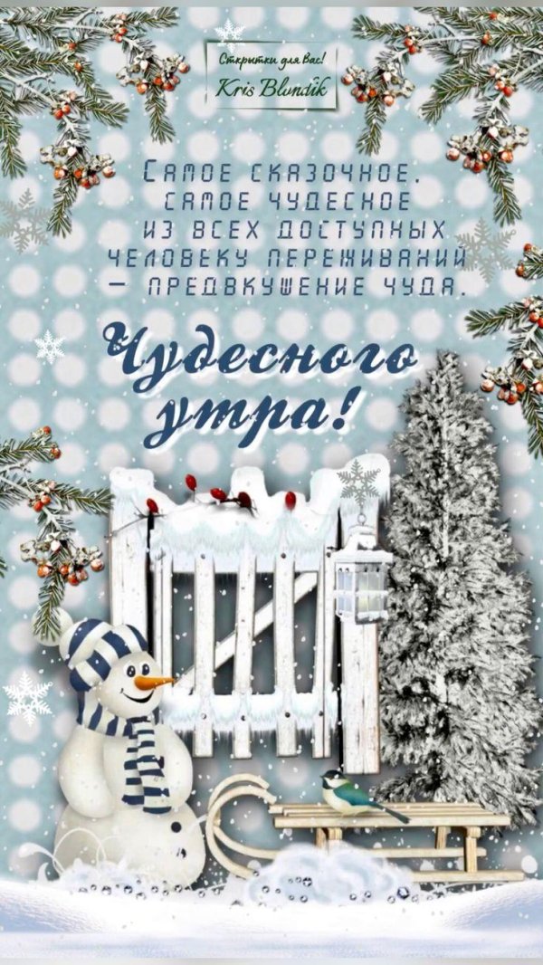 зимнего утра