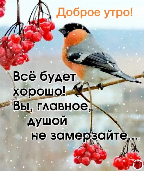с добрым зимнем утром