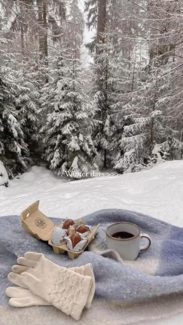 зимний пикник