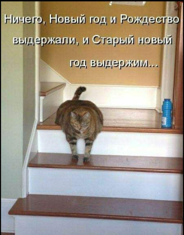 поднимается по лестнице