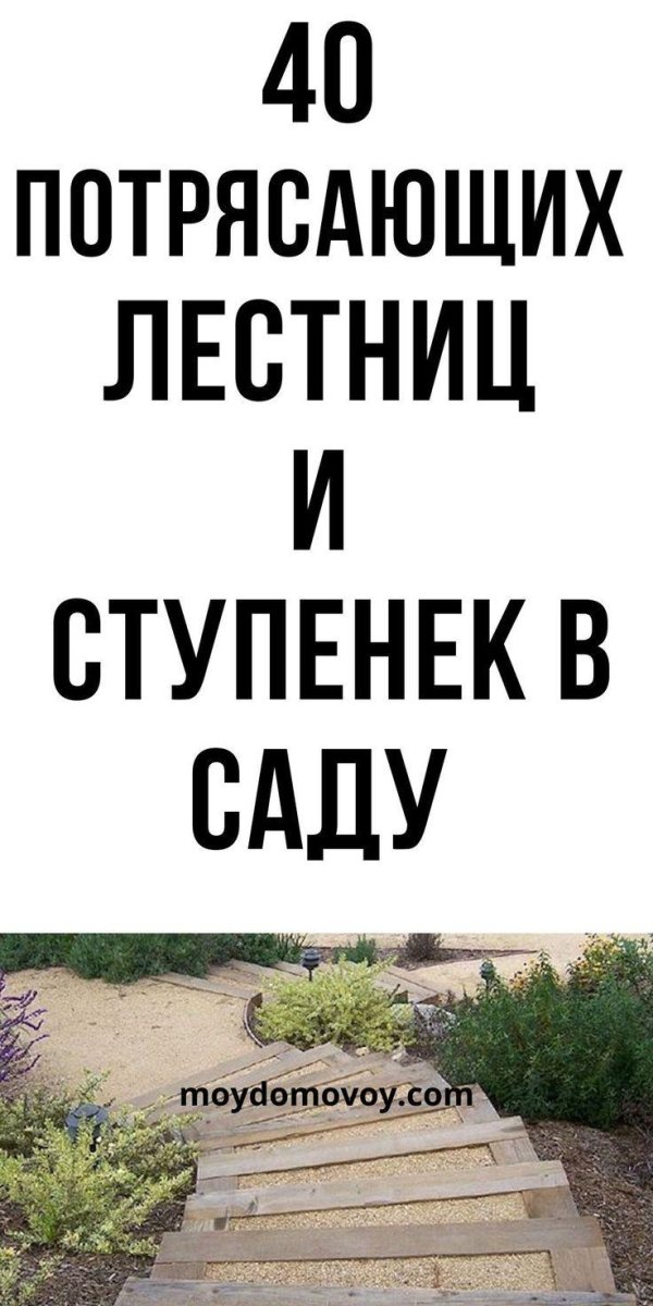ступеньки сада