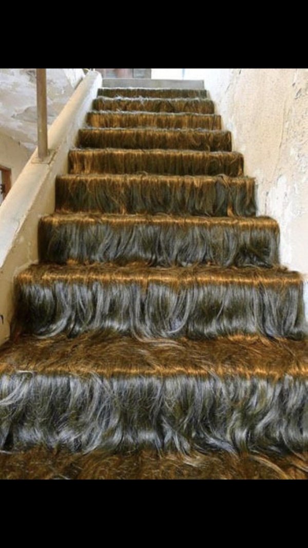 лестница демотиватор