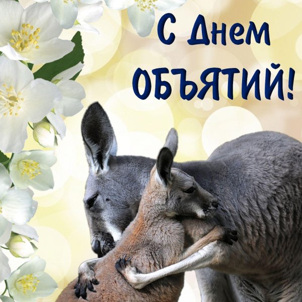 праздник объятий