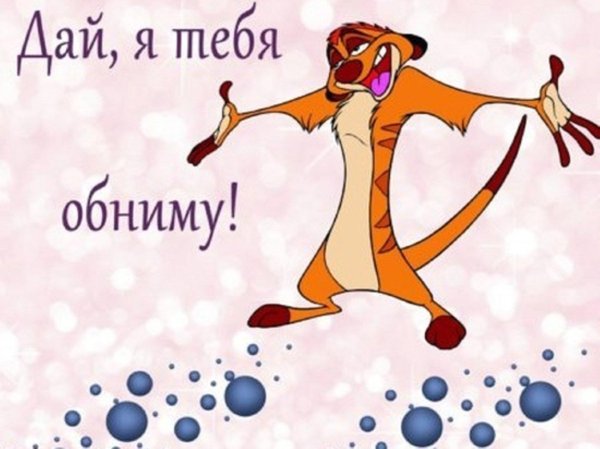 тимон король лев