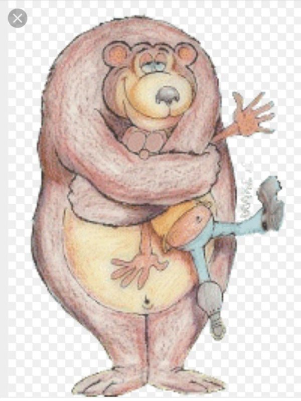 иллюстрация медведь