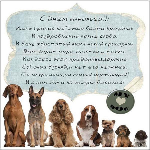День кинолога