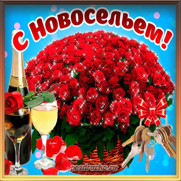 цветок на новоселье