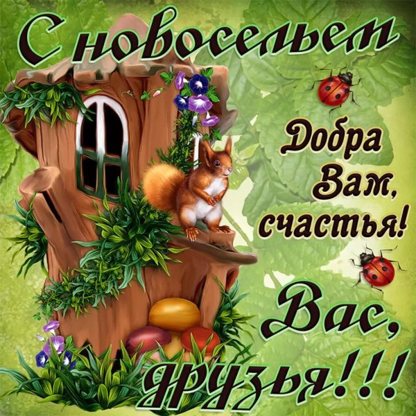 с новосельем