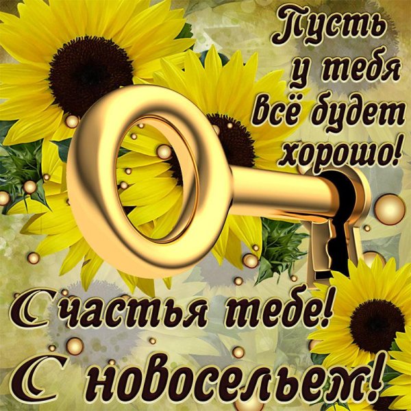 с новосельем