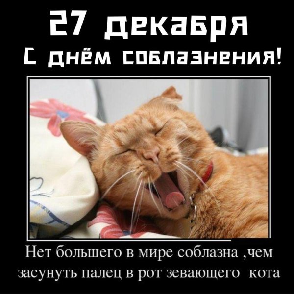 зевающие коты