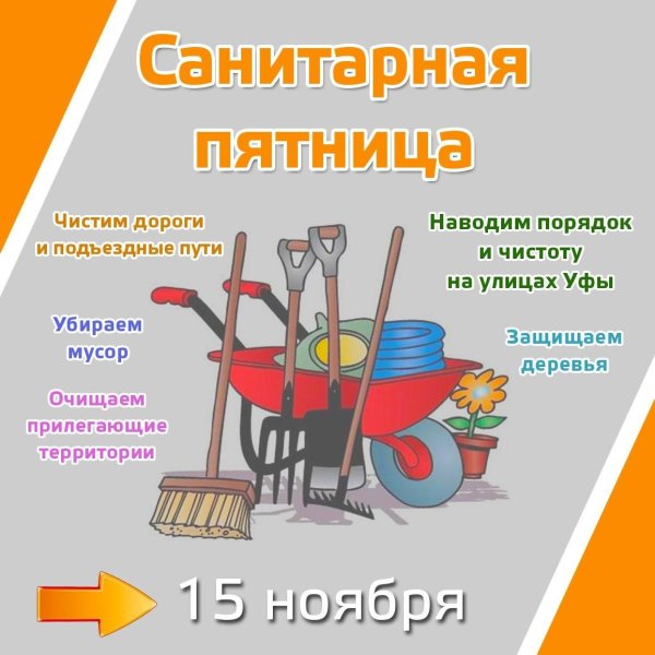 Санитарный день