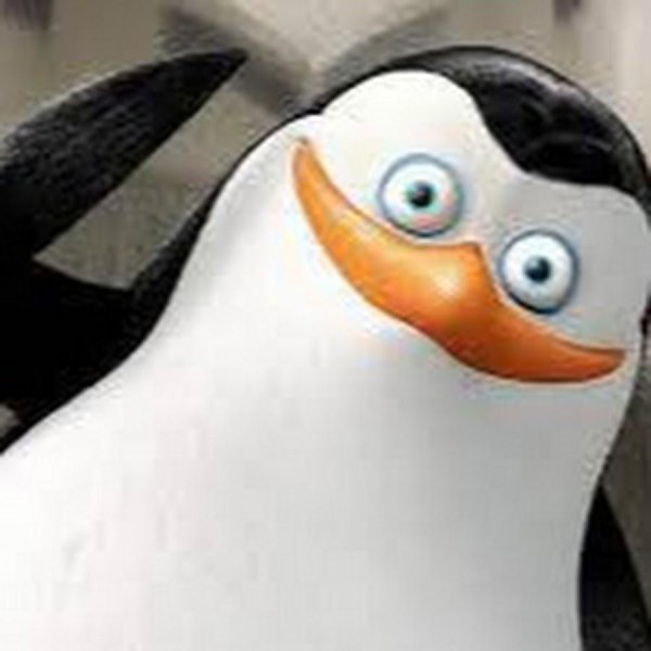 пингвин из мадагаскар