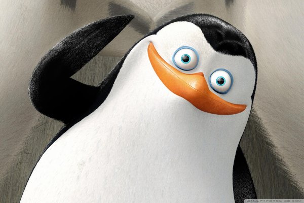 пингвин из мадагаскар
