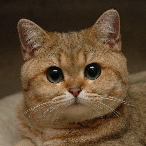 Спасибо за внимание