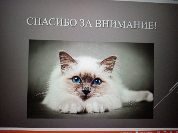 спасибо за внимание