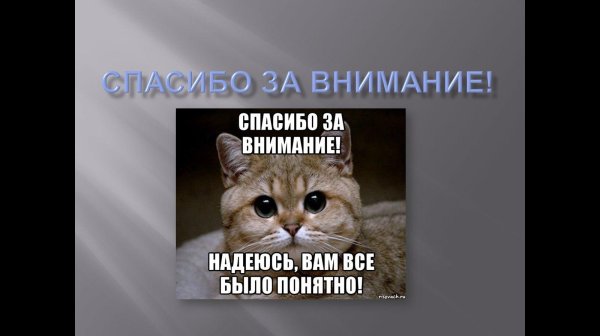 спасибо за внимание котик