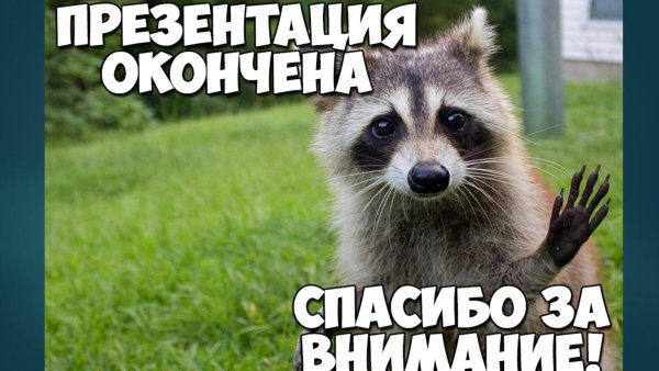 спасибо за внимание енотик