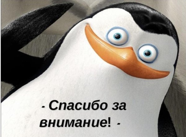 пингвин из мадагаскар