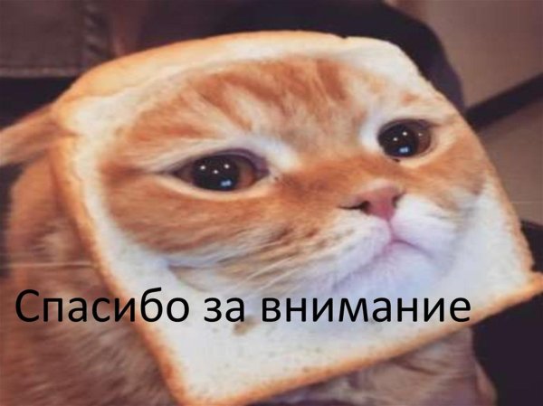 спасибо за внимание котик