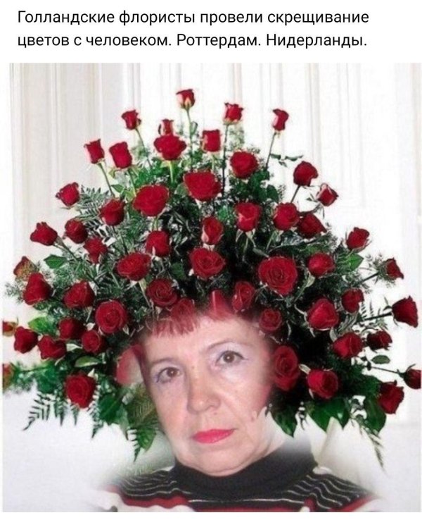 розы поздравление