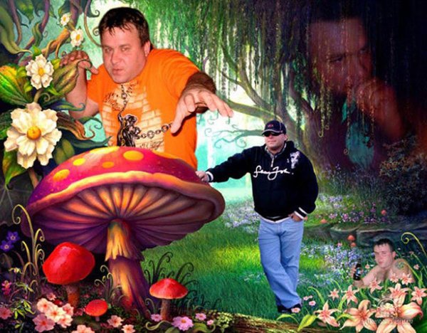 прикольный фотошоп