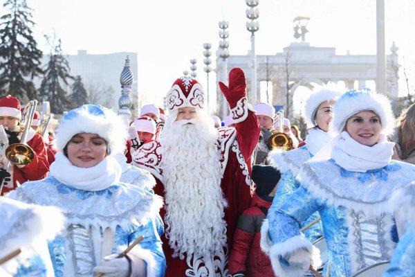 шествие дедов морозов