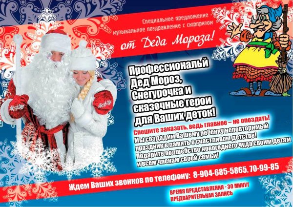 дед мороз и снегурочка на дом