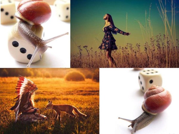 виноградная улитка ахатин