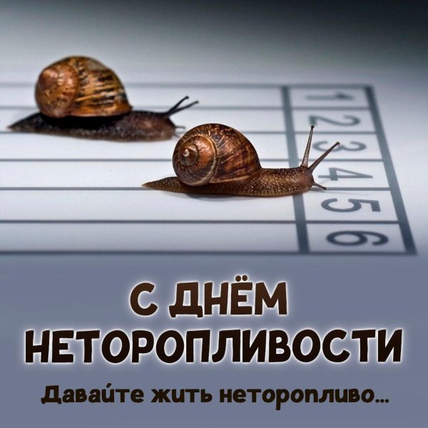 с днем неторопливости
