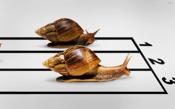 улитка ползет