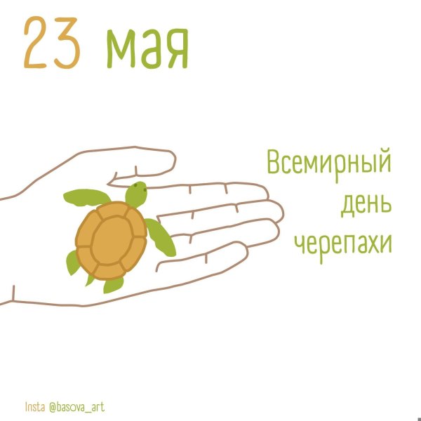 всемирный день черепахи