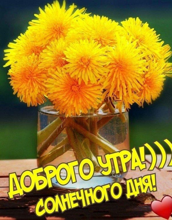 одуванчики геншин