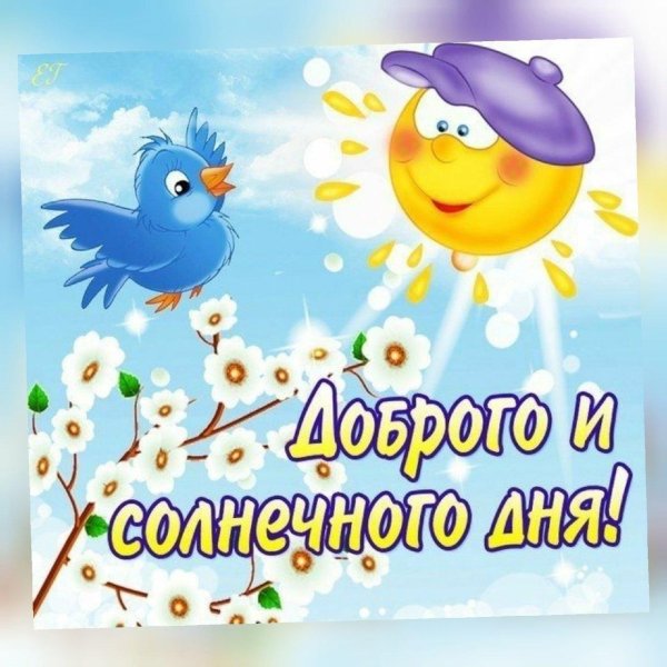 доброе утро солнечного дня и хорошего настроения