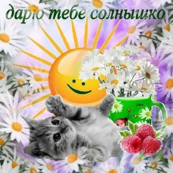 дарю тебе солнце