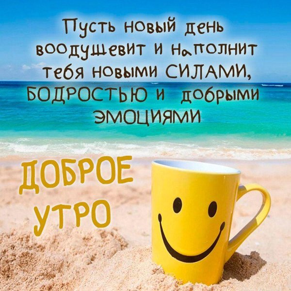 Солнечный день