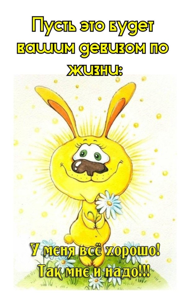 деньсолнесных зайчикоа