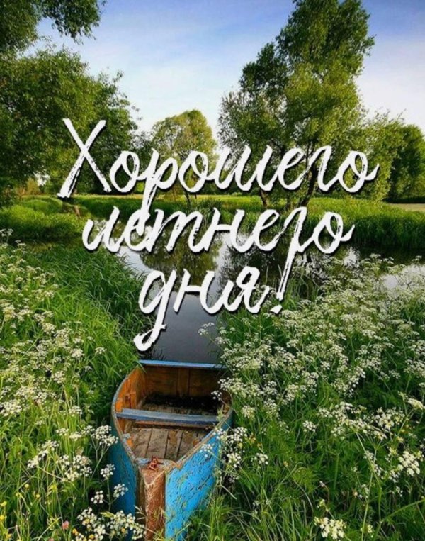 доброе утро с природой и словами