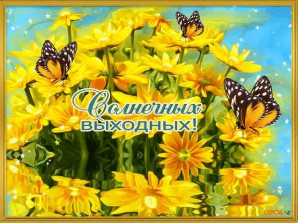 хороших летних выходных