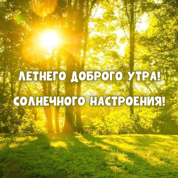 доброе утро хорошего дня природа