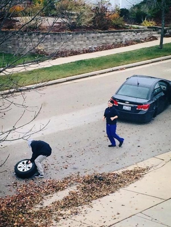 шина колеса