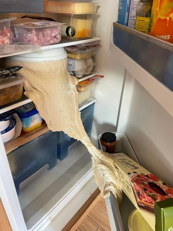 холодильник полный