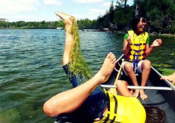 шутки про лето