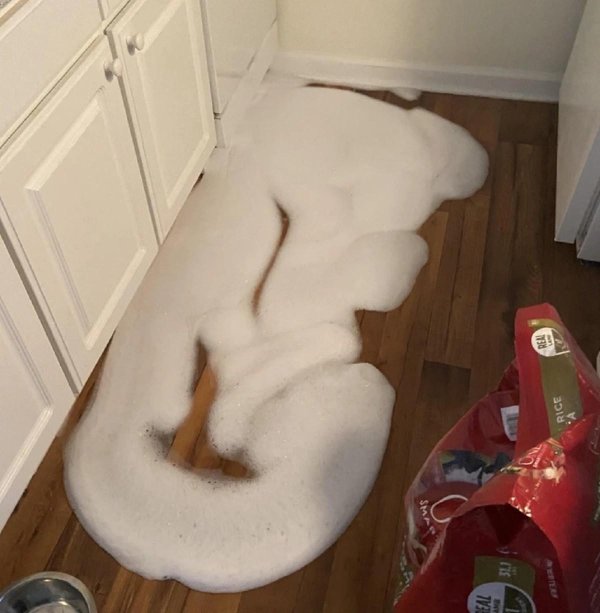 смешная фотография