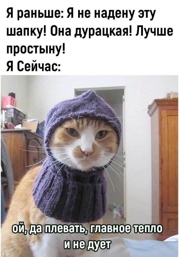 надень шапку