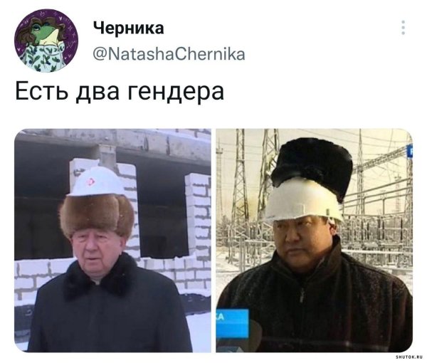 есть только два гендера
