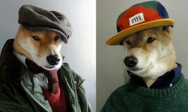 крутая собака