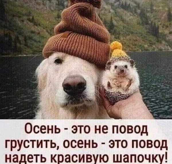 осень не повод грустить
