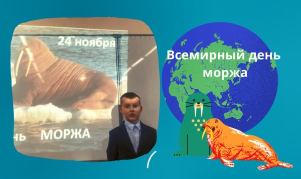 День моржа