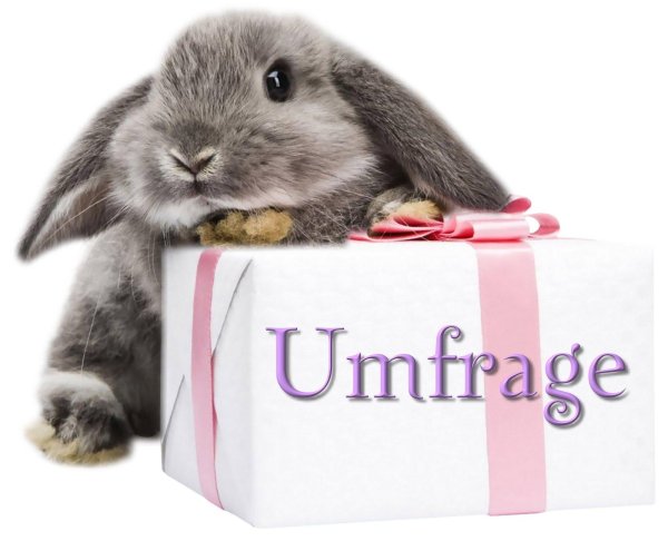 кролик с подарком