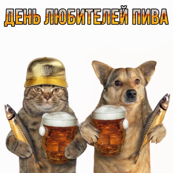День любителей пива